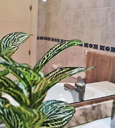 Torresol 411 * Nerja