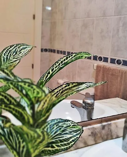 Torresol 411 * Nerja